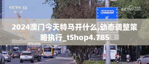 2024澳门今天特马开什么,动态调整策略执行_tShop4.785