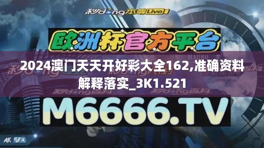 2024澳门天天开好彩大全162,准确资料解释落实_3K1.521