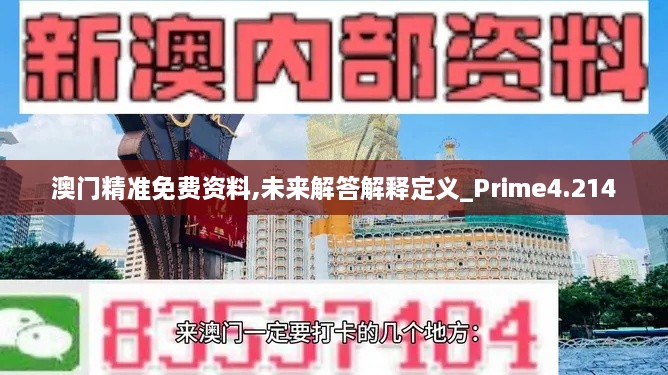 澳门精准免费资料,未来解答解释定义_Prime4.214