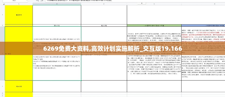 6269免费大资料,高效计划实施解析_交互版19.166