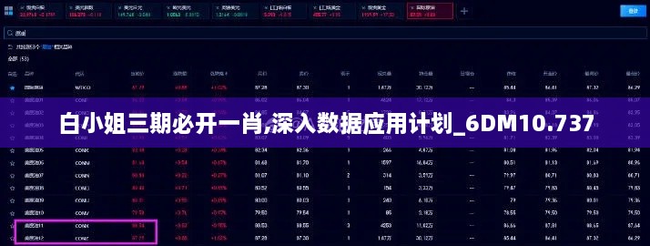 白小姐三期必开一肖,深入数据应用计划_6DM10.737
