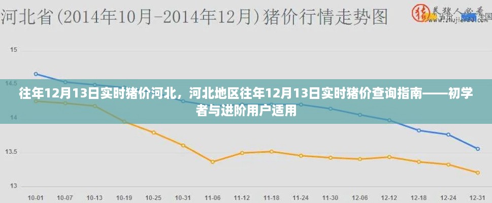 河北地区历年12月13日实时猪价查询指南，初学者与进阶用户必备参考