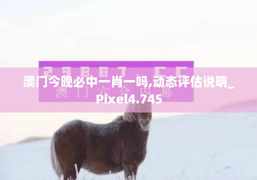 澳门今晚必中一肖一吗,动态评估说明_Pixel4.745