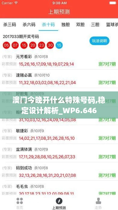 澳门今晚开什么特殊号码,稳定设计解析_WP6.646