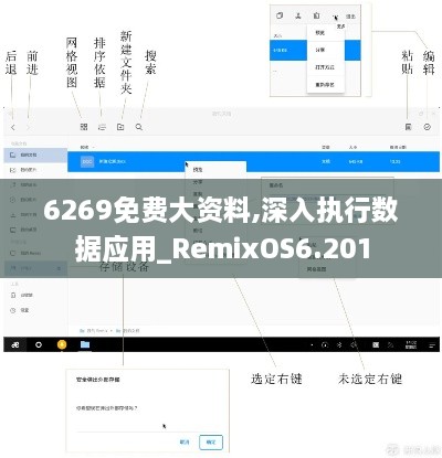 6269免费大资料,深入执行数据应用_RemixOS6.201