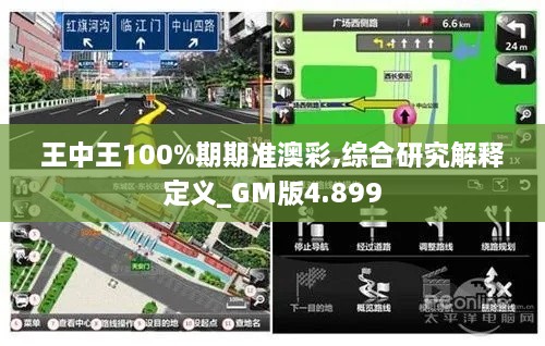 王中王100%期期准澳彩,综合研究解释定义_GM版4.899