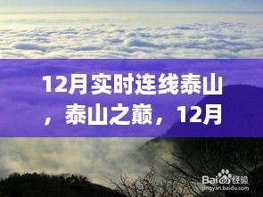 2024年12月14日 第13页