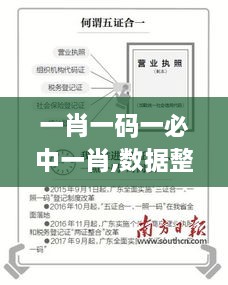 一肖一码一必中一肖,数据整合执行策略_专业款1.104