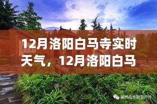 从独特视角看12月洛阳白马寺实时天气与深度分析