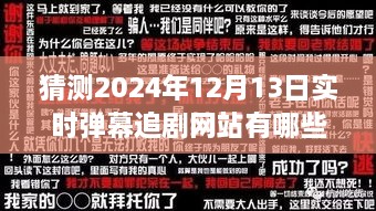 2024年实时弹幕追剧网站展望，背景、发展与行业地位深度解析