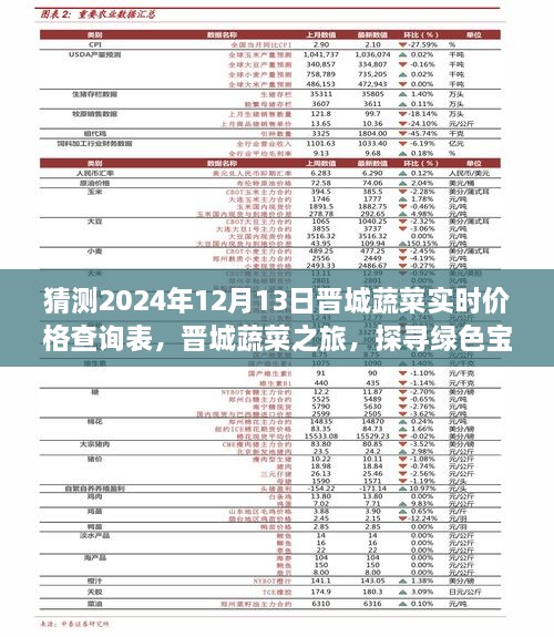 晋城蔬菜价格预测与绿色宝藏探寻之旅，心灵之旅启程于2024年12月13日