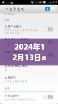 温馨日常与科技纽带，2024年12月13日Android实时显示小趣事