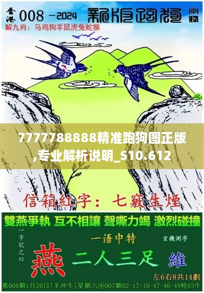 7777788888精准跑狗图正版,专业解析说明_S10.612