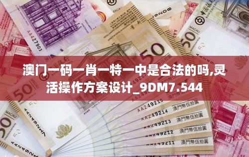 澳门一码一肖一特一中是合法的吗,灵活操作方案设计_9DM7.544