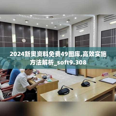 2024新奥资料免费49图库,高效实施方法解析_soft9.308