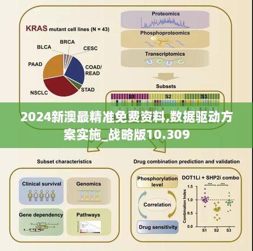 2024新澳最精准免费资料,数据驱动方案实施_战略版10.309