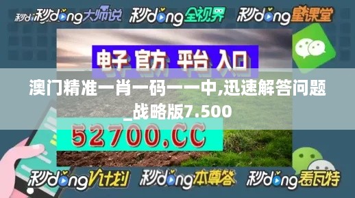 澳门精准一肖一码一一中,迅速解答问题_战略版7.500