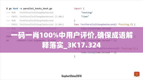 一码一肖100%中用户评价,确保成语解释落实_3K17.324