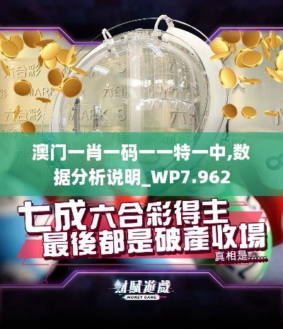 澳门一肖一码一一特一中,数据分析说明_WP7.962