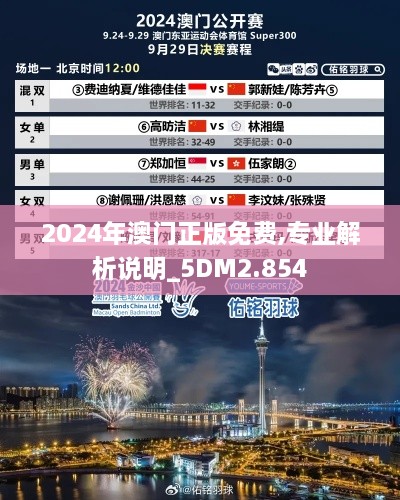 2024年澳门正版免费,专业解析说明_5DM2.854