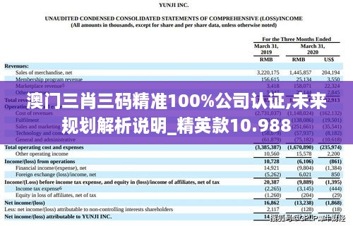 澳门三肖三码精准100%公司认证,未来规划解析说明_精英款10.988