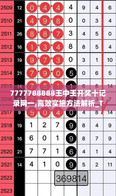 7777788888王中王开奖十记录网一,高效实施方法解析_Tizen2.756