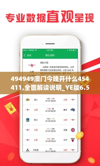 494949澳门今晚开什么454411,全面解读说明_YE版6.538