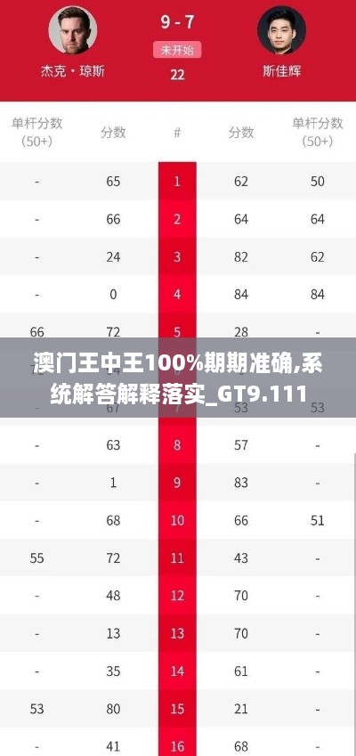 澳门王中王100%期期准确,系统解答解释落实_GT9.111