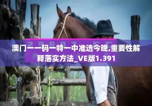 澳门一一码一特一中准选今晚,重要性解释落实方法_VE版1.391