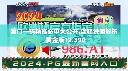 2024年12月15日 第49页