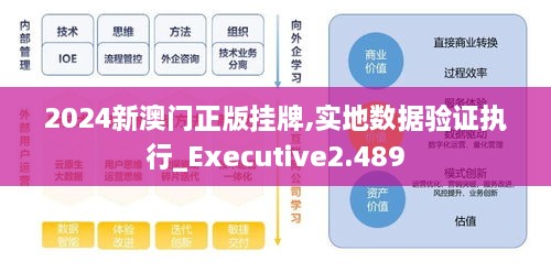 2024新澳门正版挂牌,实地数据验证执行_Executive2.489