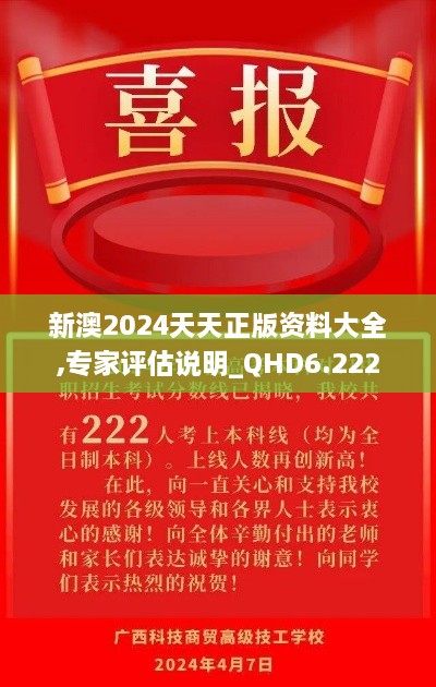 新澳2024天天正版资料大全,专家评估说明_QHD6.222