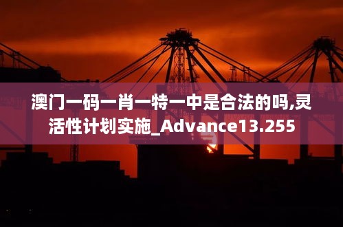 澳门一码一肖一特一中是合法的吗,灵活性计划实施_Advance13.255