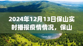 保山疫情实时播报与美景之旅，心灵避风港，启程寻找内心宁静与奇迹之旅（XXXX年XX月XX日）