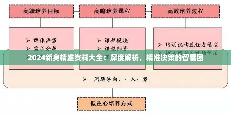 2024新臭精准资料大全：深度解析，精准决策的智囊团