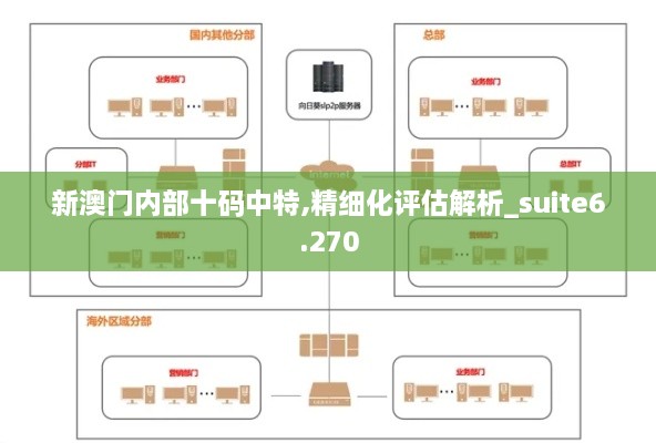 新澳门内部十码中特,精细化评估解析_suite6.270