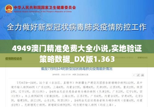 4949澳门精准免费大全小说,实地验证策略数据_DX版1.363