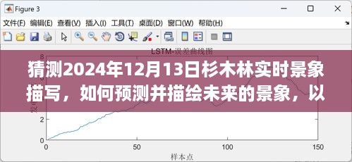 预测与描绘未来，杉木林在2024年12月13日的实时景象