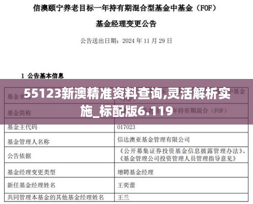 55123新澳精准资料查询,灵活解析实施_标配版6.119