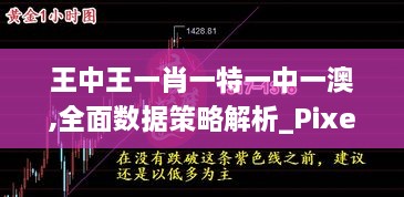 王中王一肖一特一中一澳,全面数据策略解析_Pixel15.146