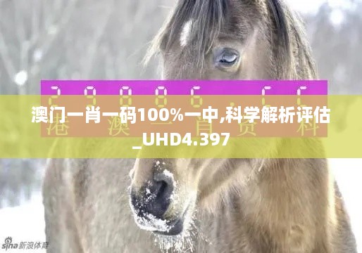 澳门一肖一码100%一中,科学解析评估_UHD4.397