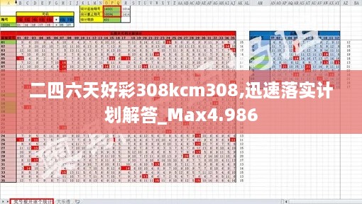 二四六天好彩308kcm308,迅速落实计划解答_Max4.986