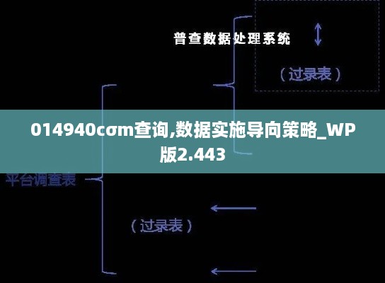 014940cσm查询,数据实施导向策略_WP版2.443