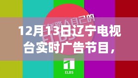 辽宁电视台揭秘最新高科技产品，重塑未来生活体验直播秀