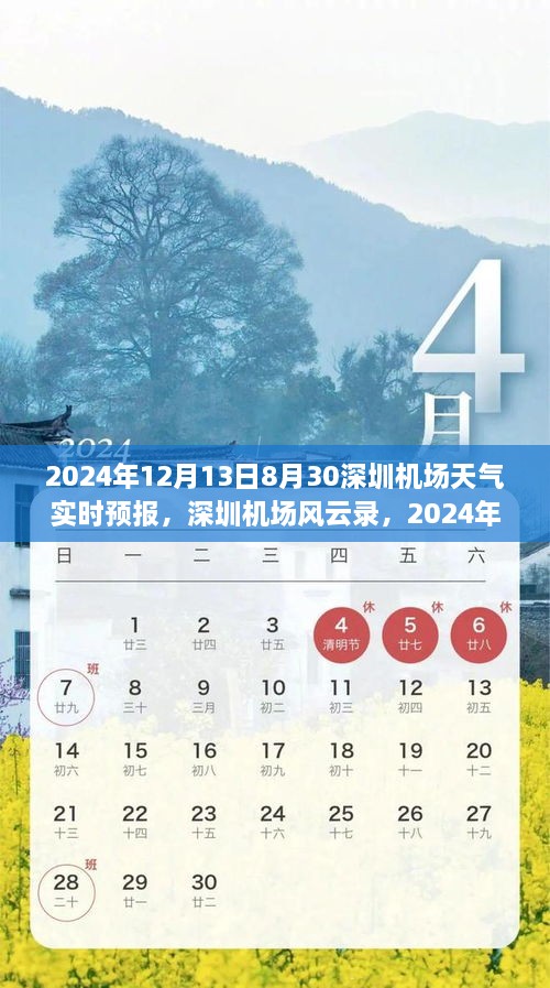 深圳机场天气预报纪实，风云变幻下的航班动态与影响