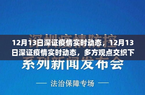 多方观点交织下的洞察与反思，12月13日深证疫情实时动态分析