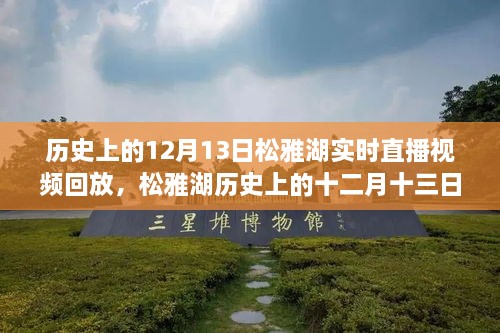 松雅湖直播回放，探寻历史记忆碎片的十二月十三日