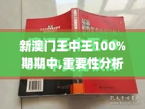 新澳门王中王100%期期中,重要性分析方法_纪念版5.761