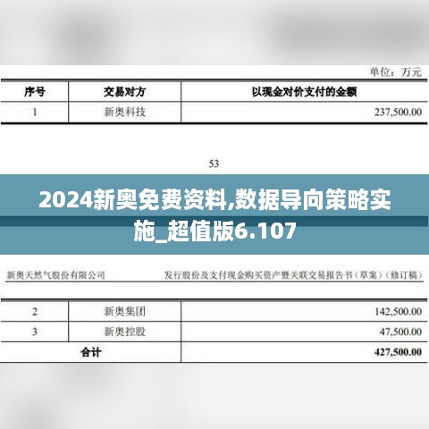 2024新奥免费资料,数据导向策略实施_超值版6.107