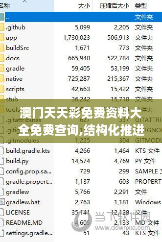 澳门天天彩免费资料大全免费查询,结构化推进评估_Device9.205